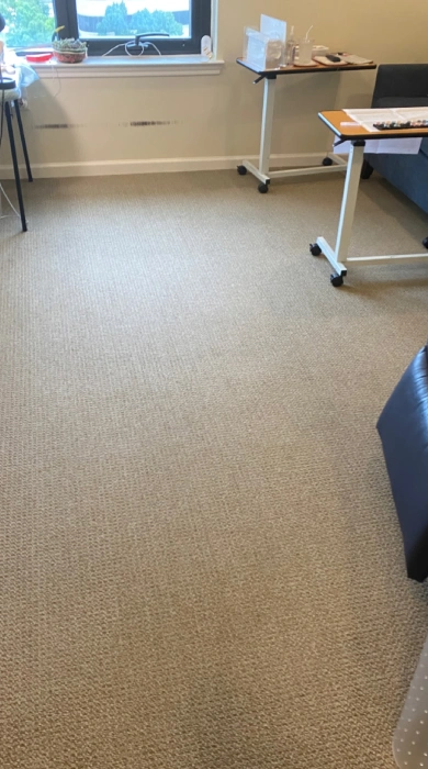 Carpet after cleaning