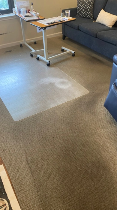 Carpet before cleaning