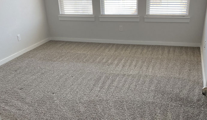 Freshly deep cleaned carpet with visible vacuum lines in a Houston home.