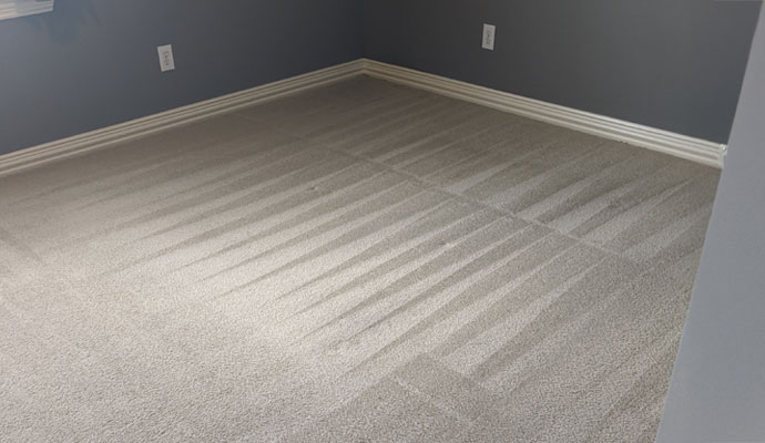 A freshly cleaned carpeted room showing even texture and lines after professional odor removal treatment.
