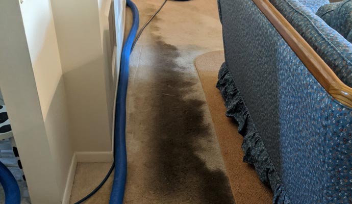 A long, dark moisture stain on a beige carpet next to a blue sofa