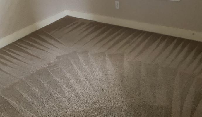 Clean carpet