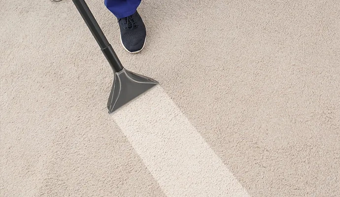 Carpet cleaning with vacuum cleaner