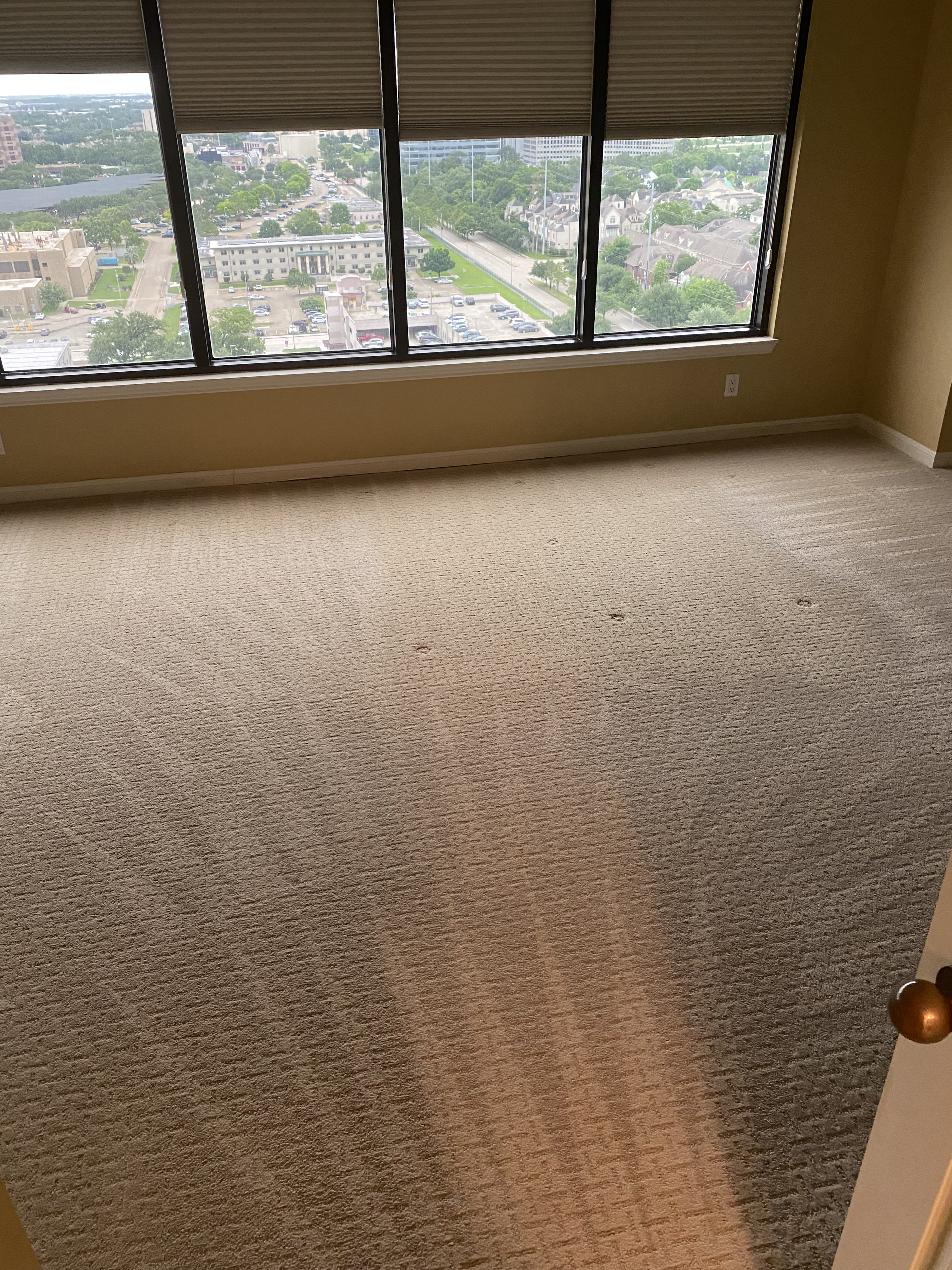 Carpet Cleaning Houston, Tx High Rise