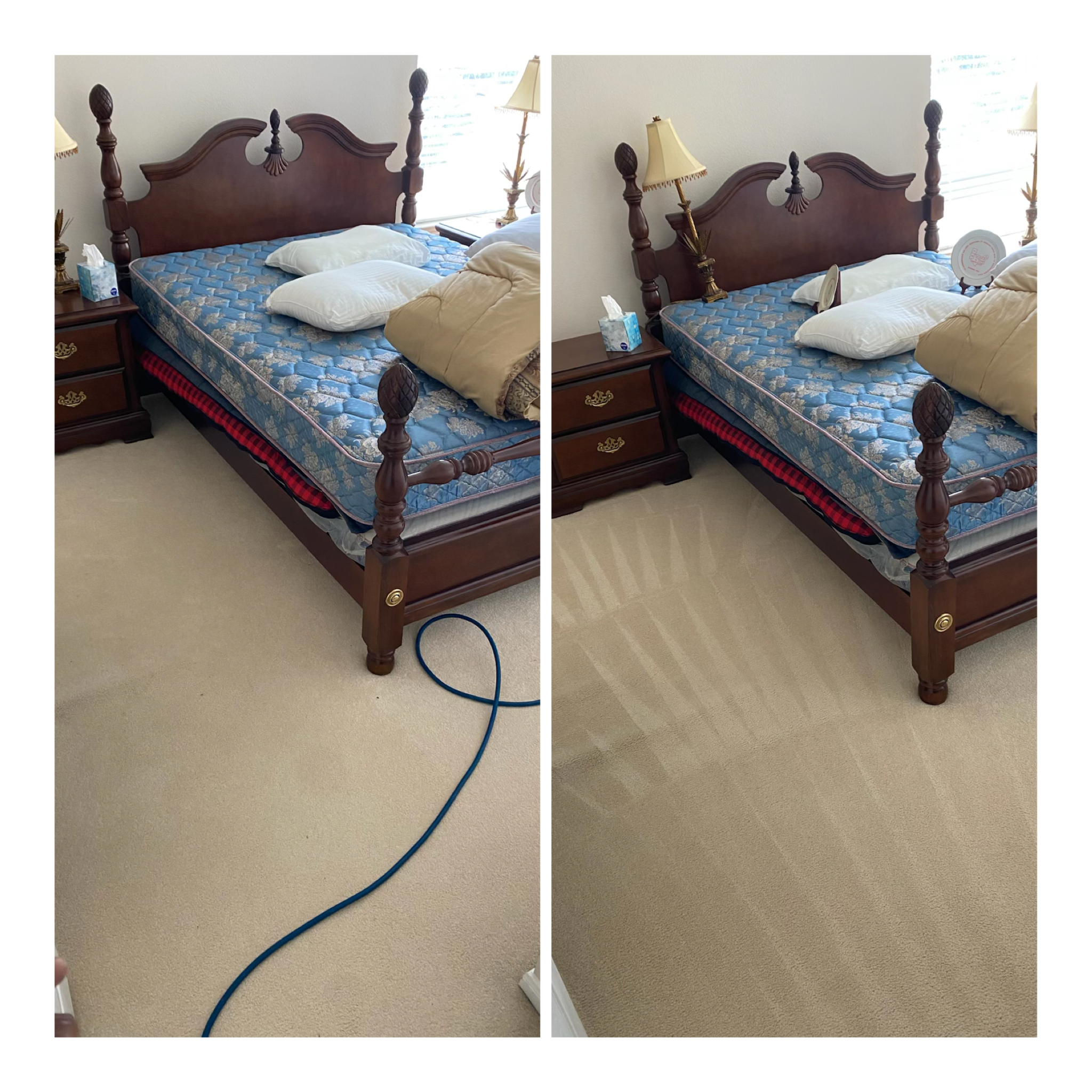 Professional Carpet Deep Clean Sugar Land, TX