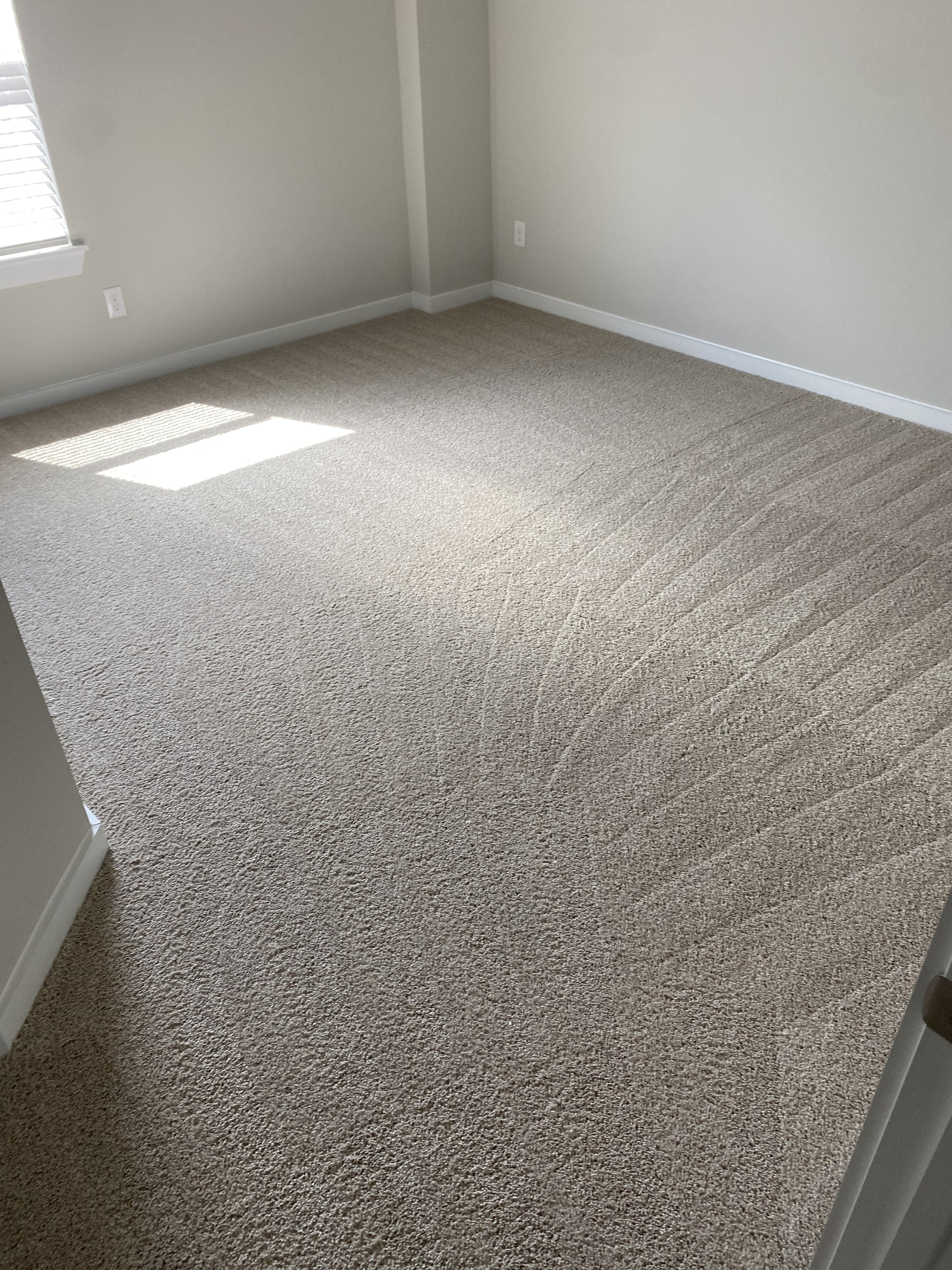 Move In Carpet Cleaning Hockley, Tx