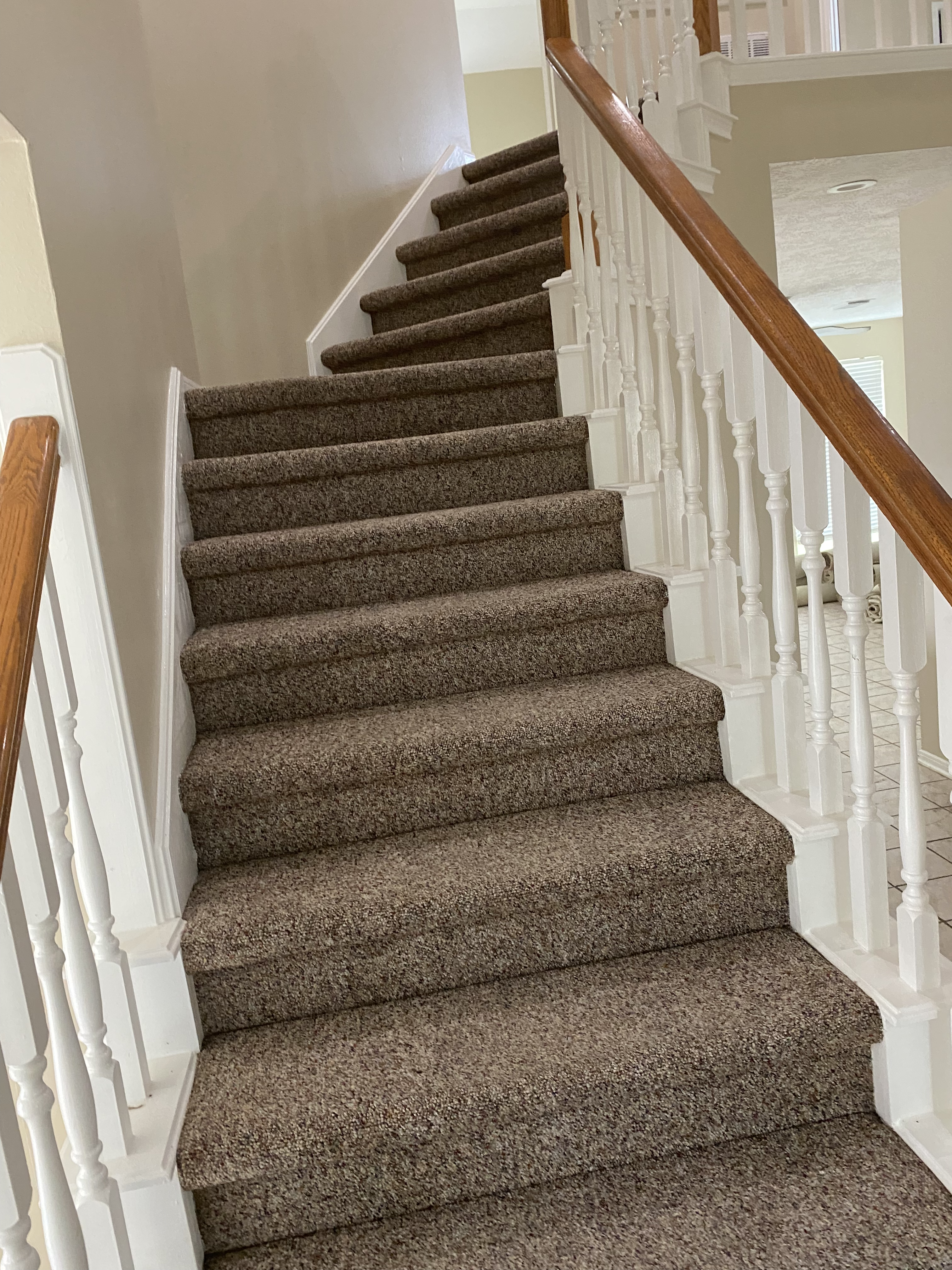 Carpet Cleaning Sugar Land, Tx