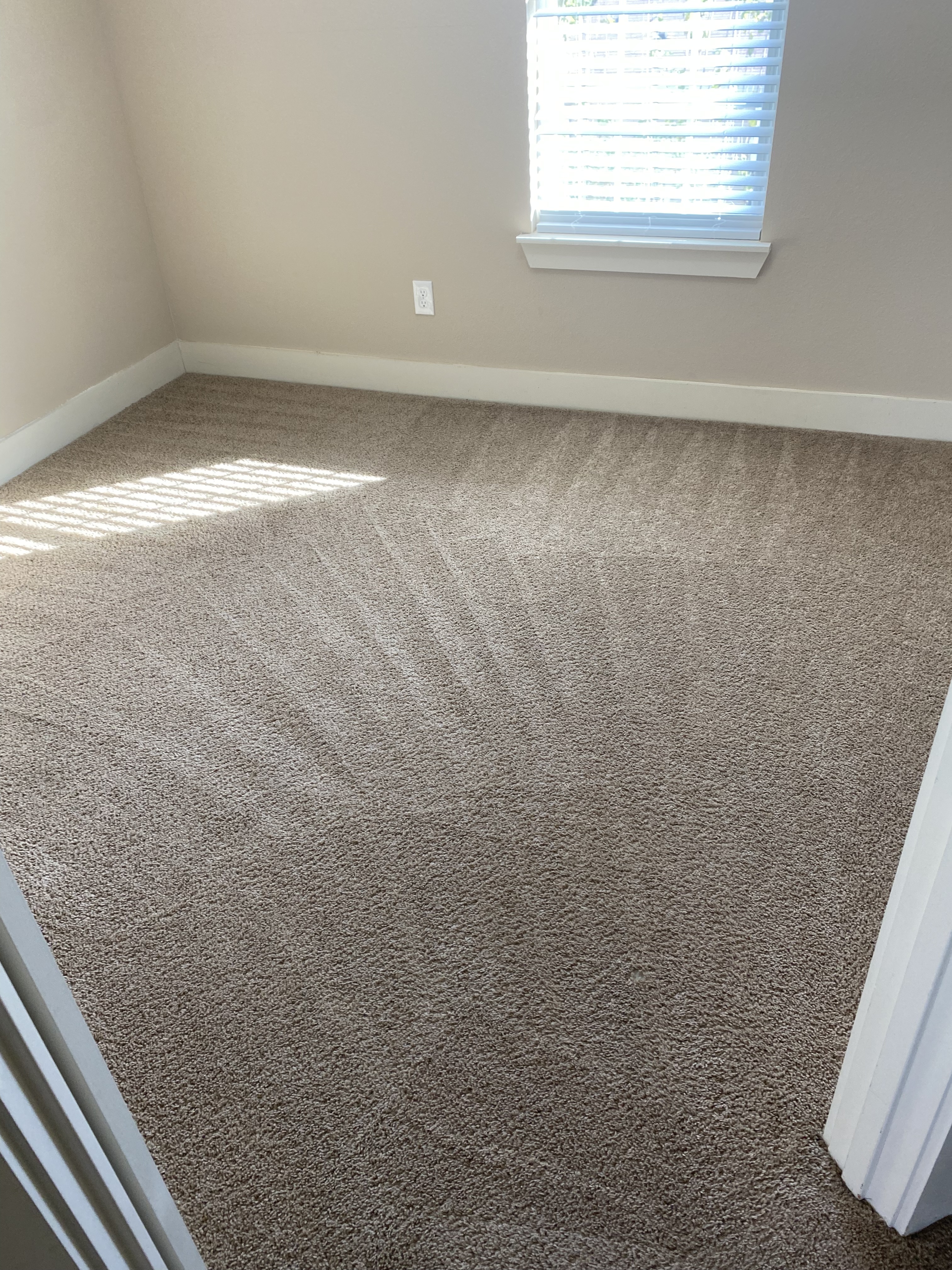 Carpet Cleaning Houston, Tx