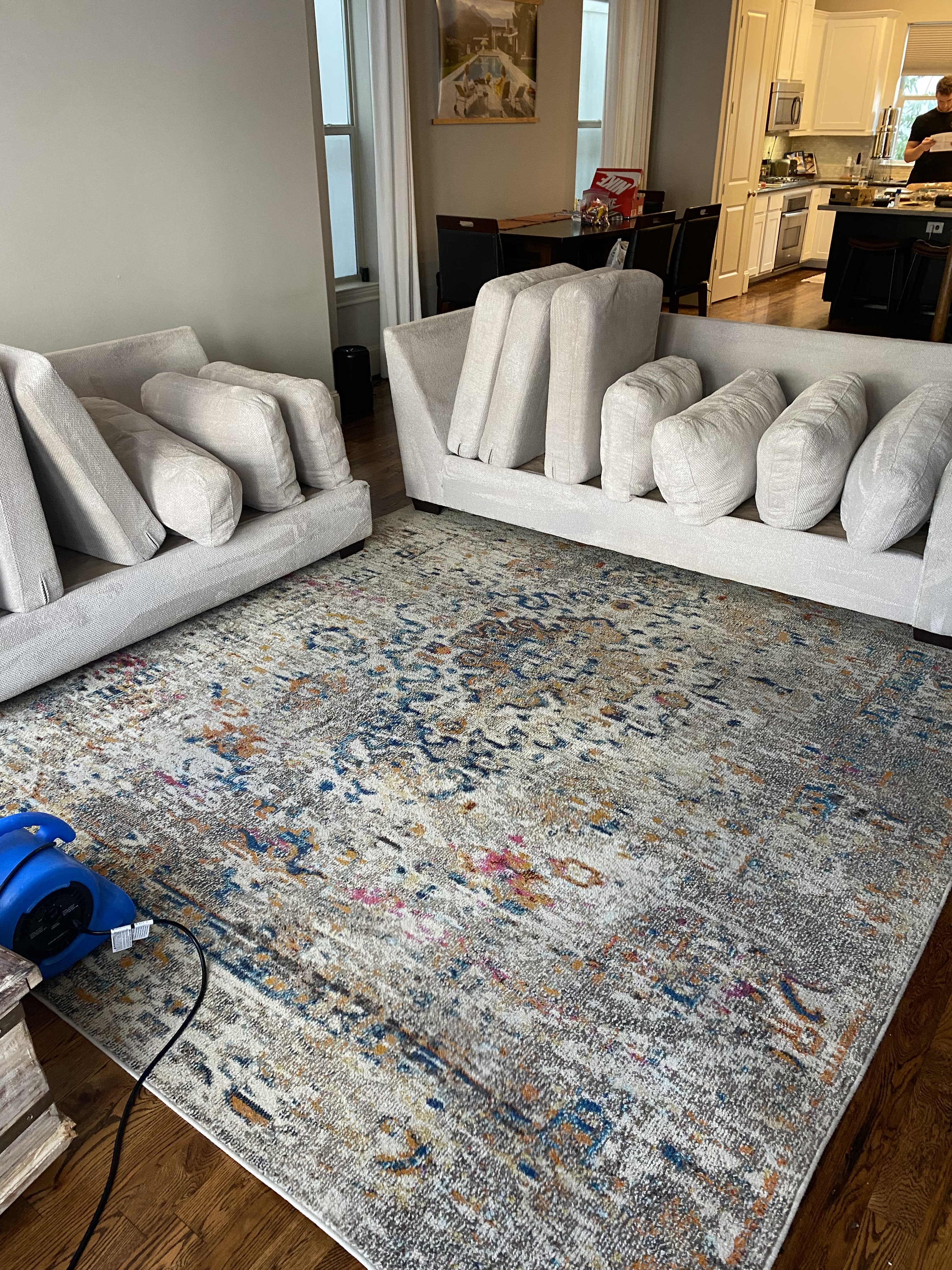 Couch Cleaning Houston