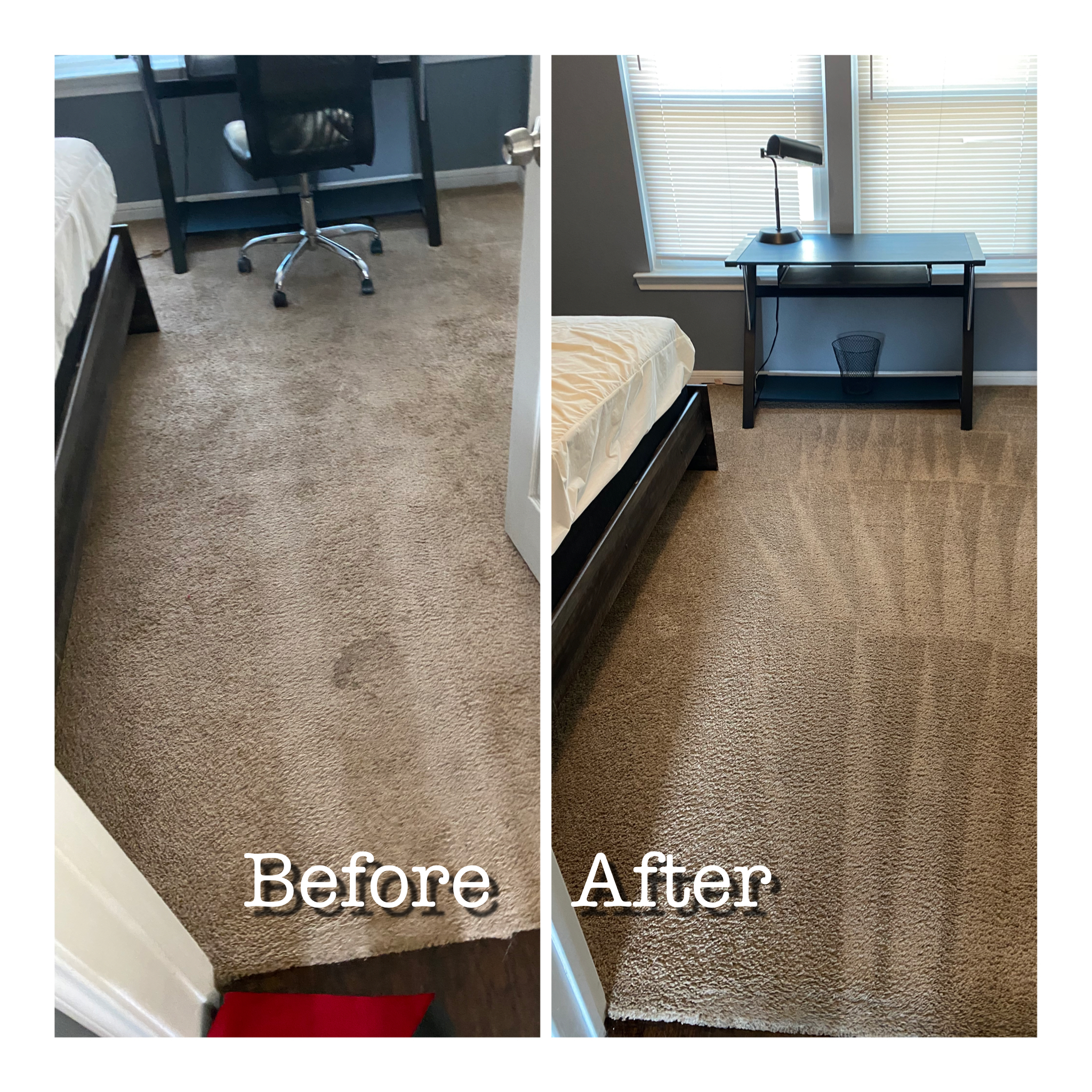Carpet Cleaning Houston, Tx