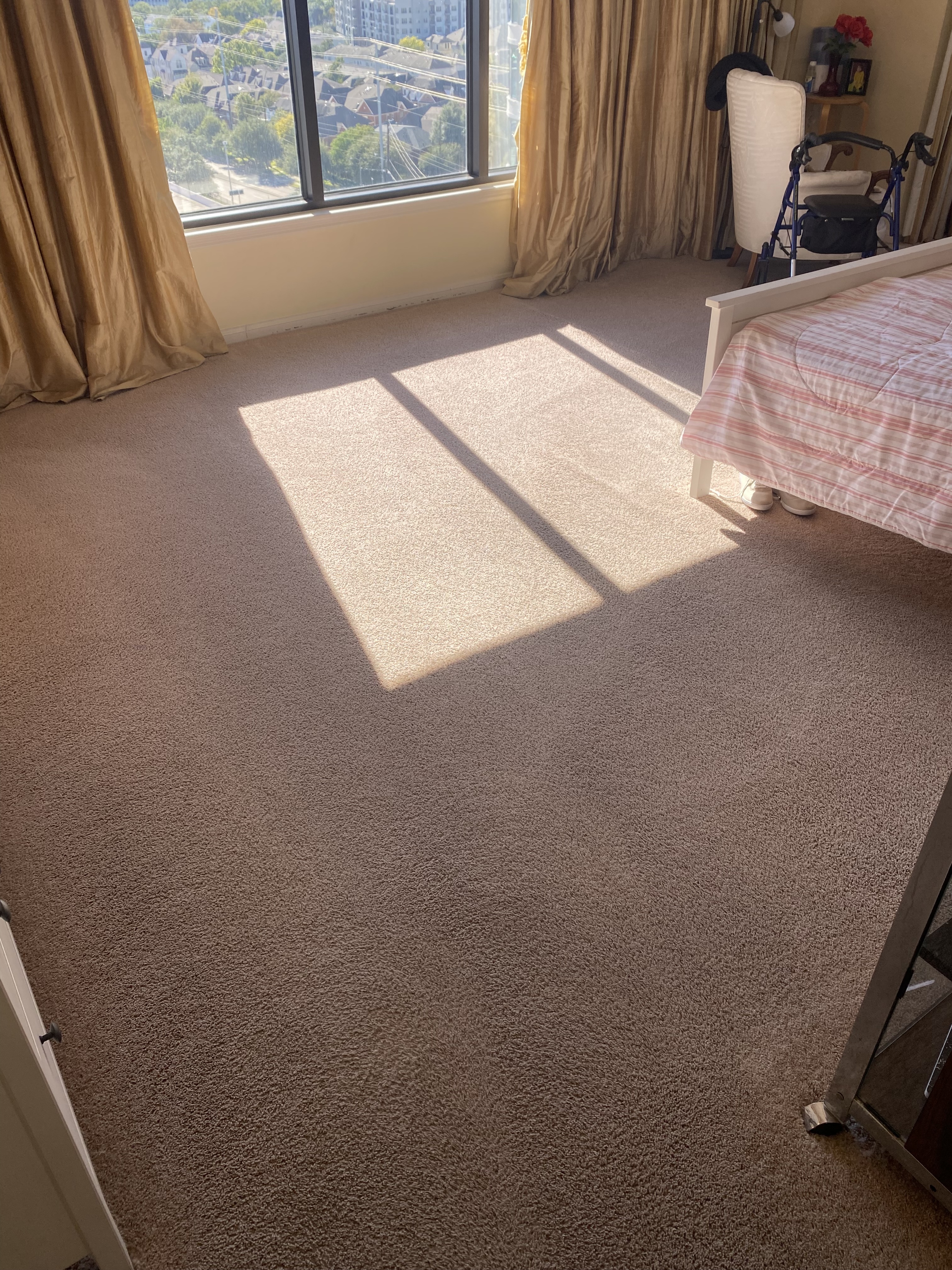 Carpet Cleaning 15th Floor High-Rise Houston, Tx