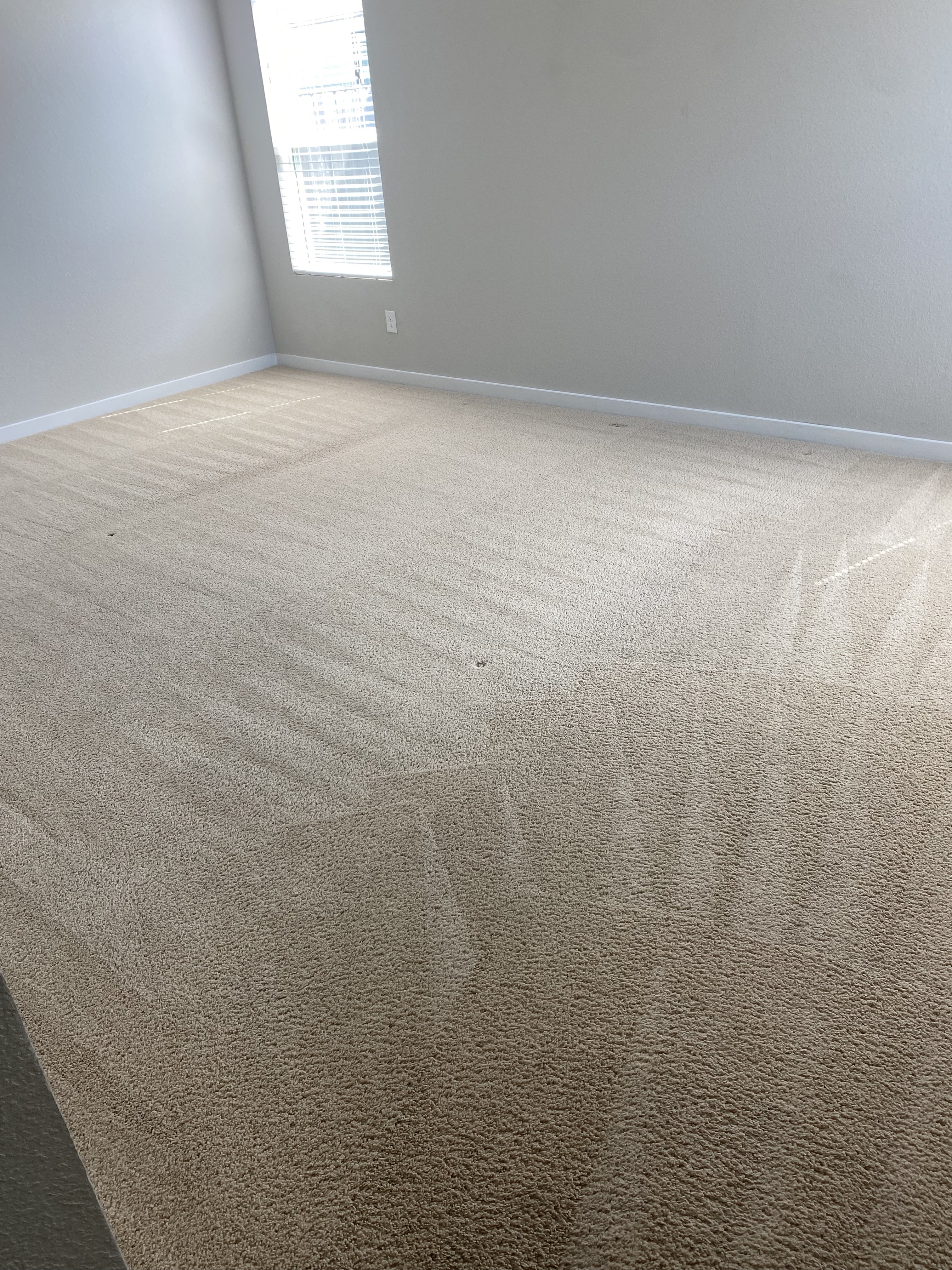 Carpet Cleaning Fresno, Tx