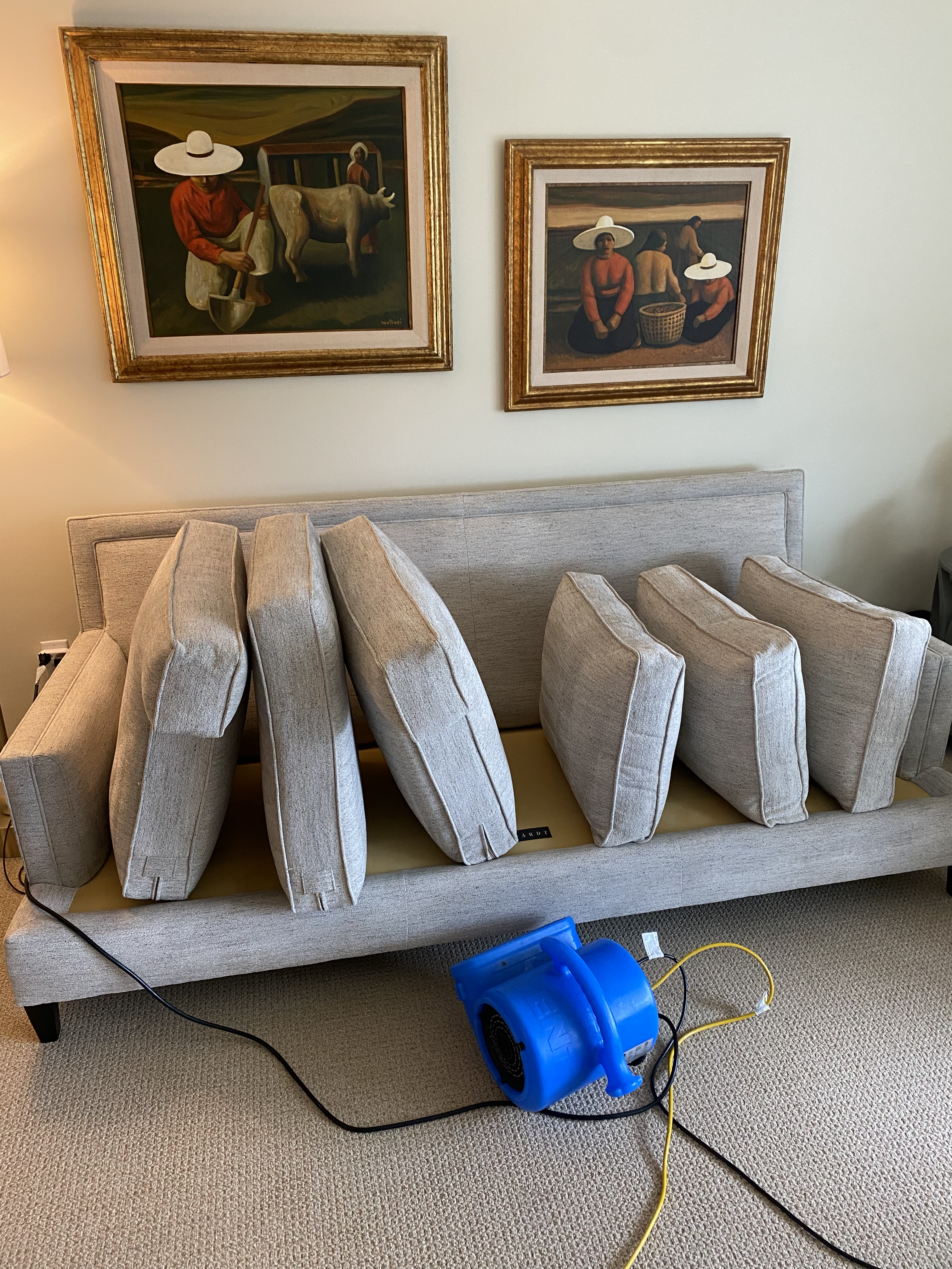 Sofa Cleaning Houston, Tx