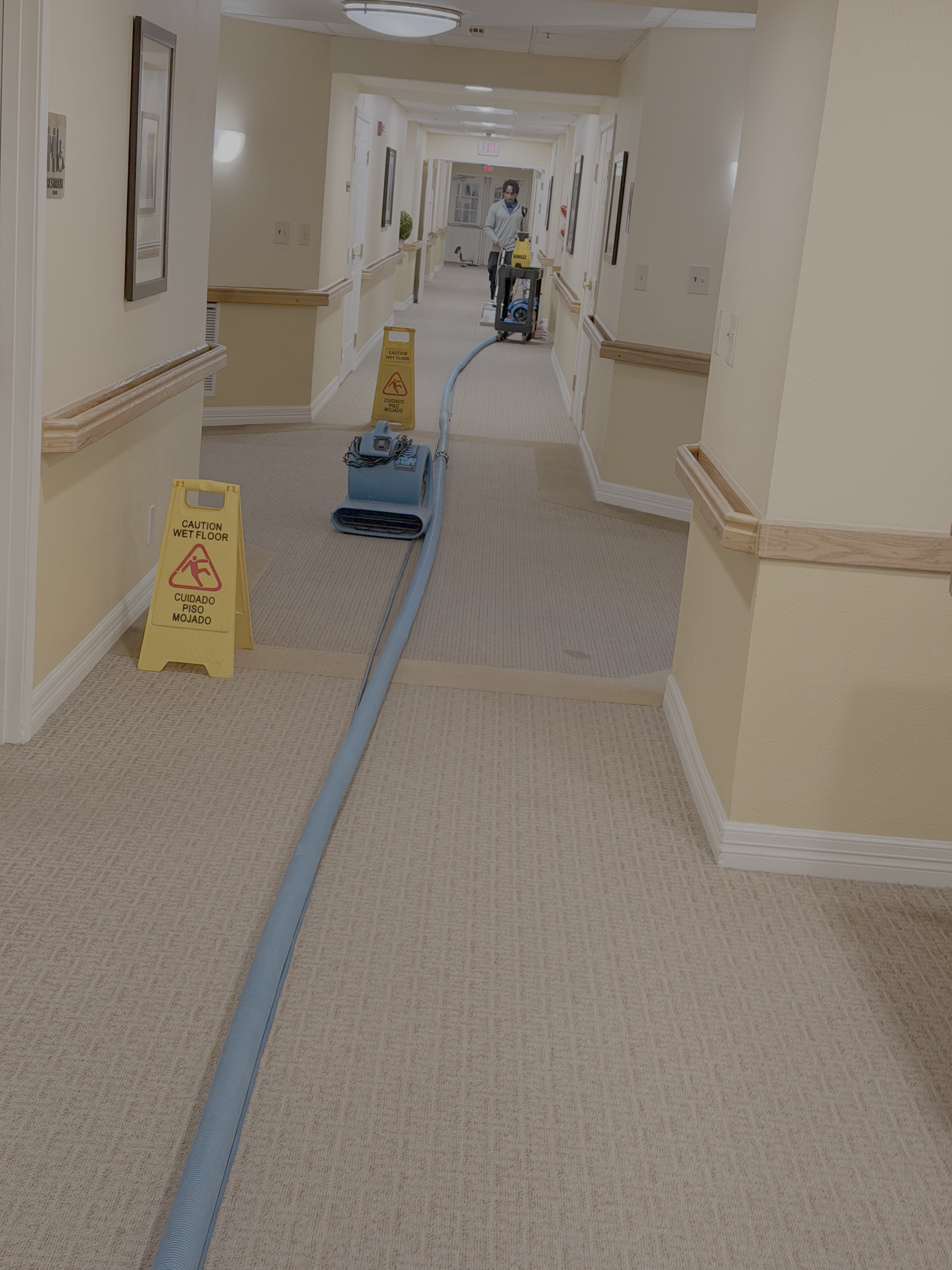 Commercial Carpet Cleaning Houston, Tx