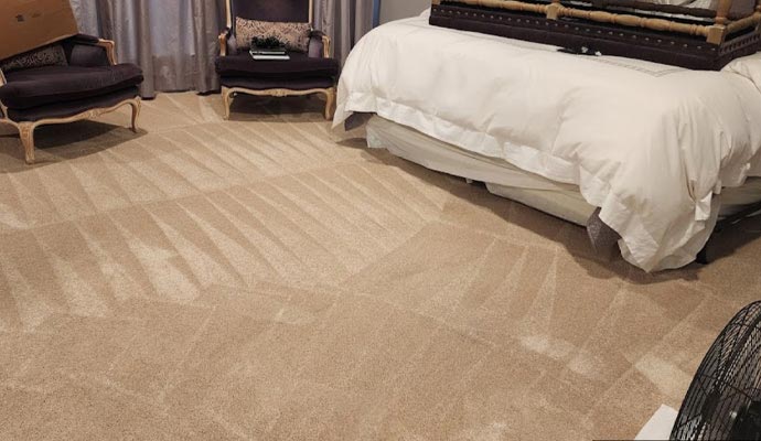 Professionally cleaned carpet on floor