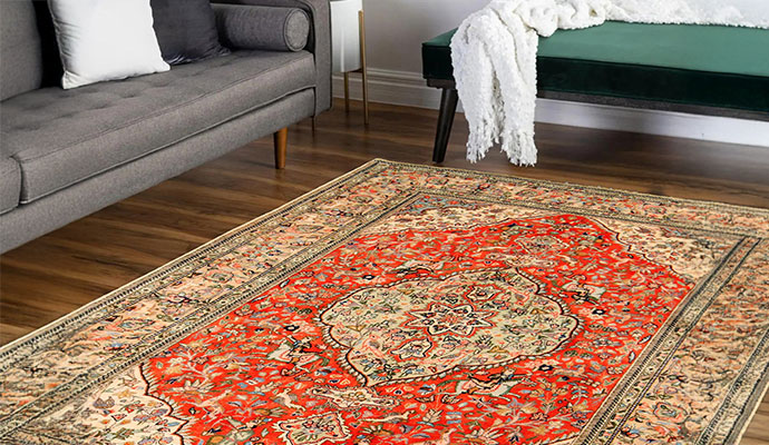 A decorative area rug in a living room, illustrating protective treatment that helps repel spills and dirt.