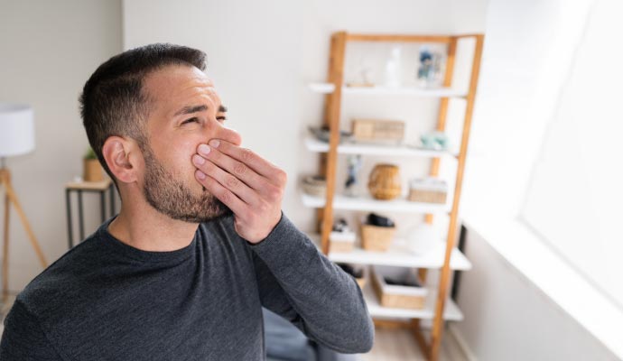 Upholstery Odor Removal Services in the Greater Houston Area