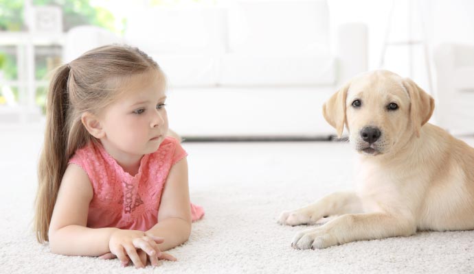 Children playing with pet on carpet
